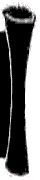 Gamester-Banner3.gif